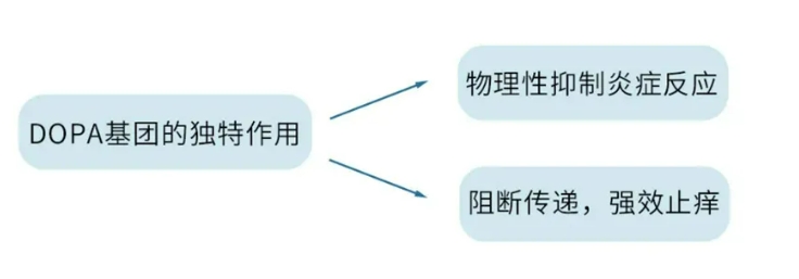 觀眾座椅
